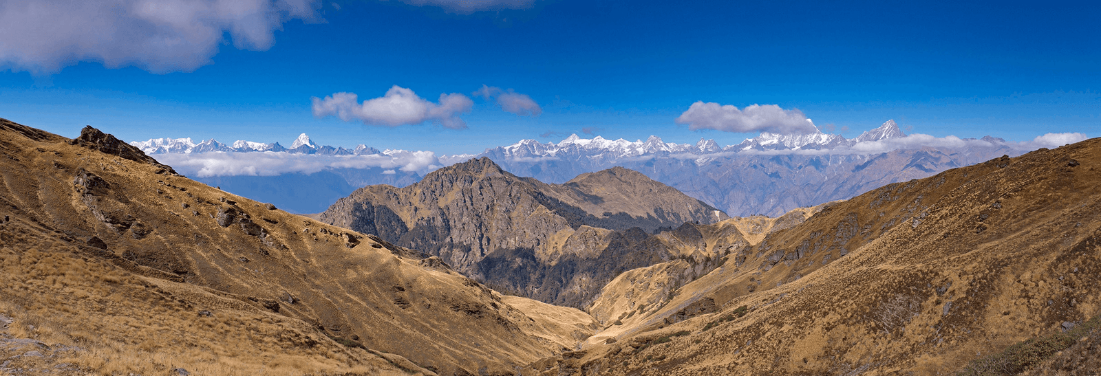 7 Magnificent Himalayan Peaks You Can See During the Kuari Pass Trek