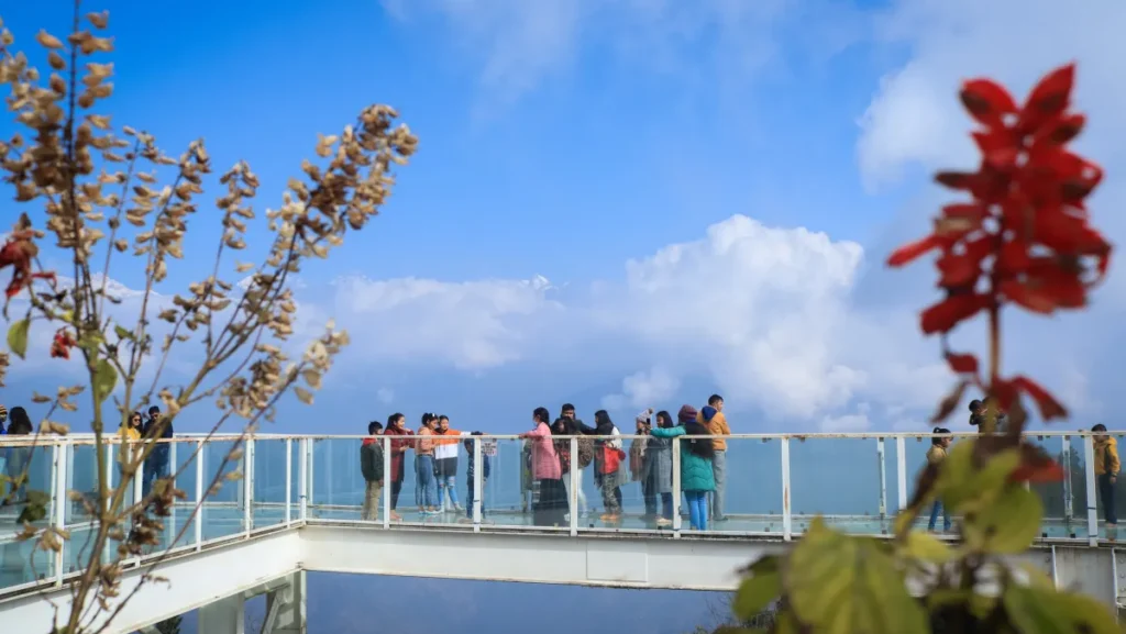 Pelling Local Sightseeing | Transfer To Darjeeling