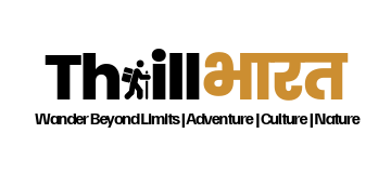 THRILLBHARAT PRIVATE LIMITED