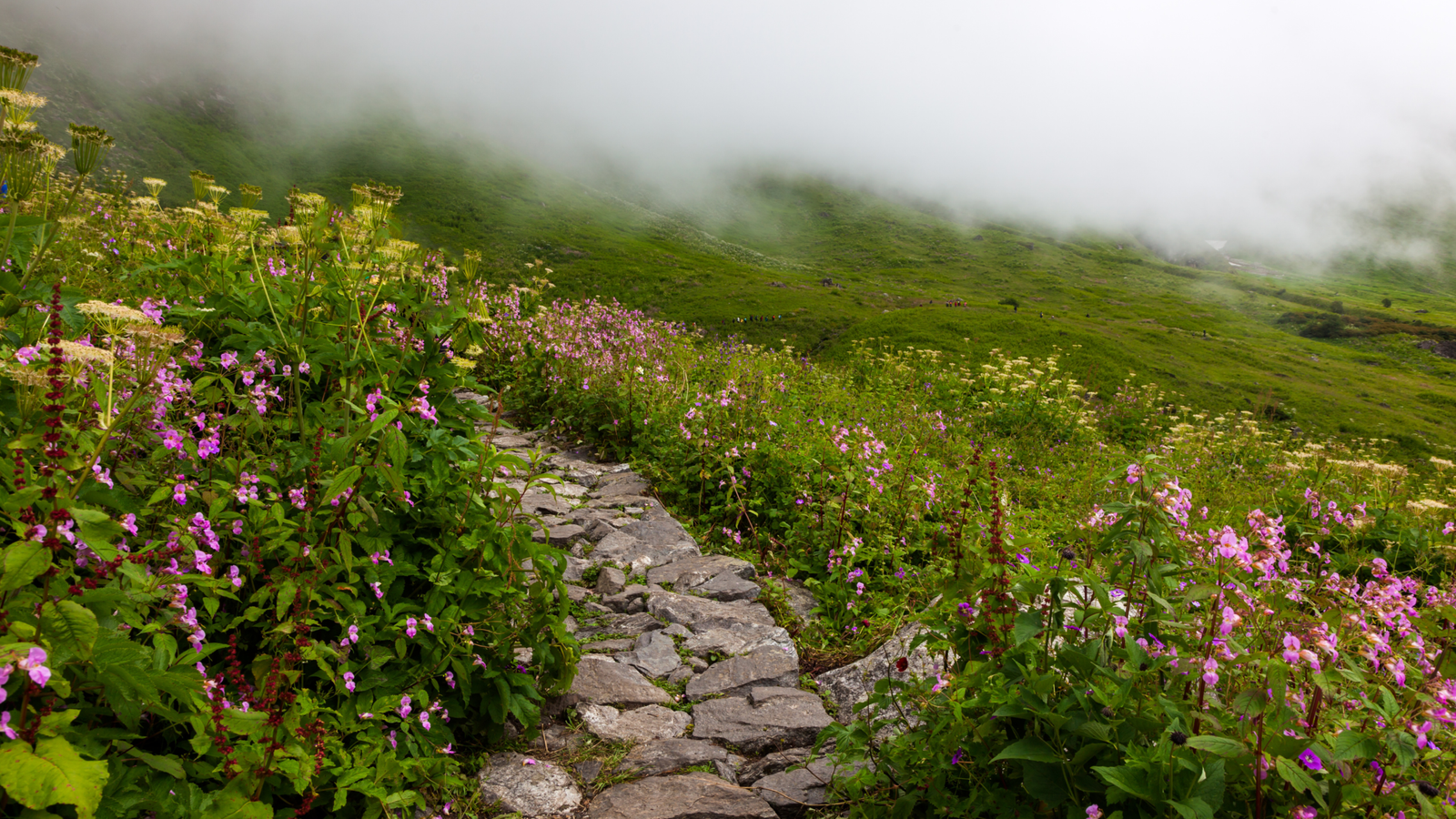 Ghangaria To Valley Of Flowers | UNESCO World Heritage Site Exploration